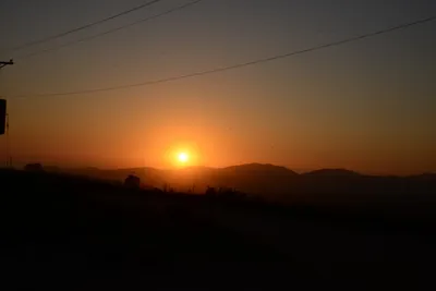 ENSC00935.jpg
